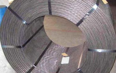 六安预应力钢绞线厂 《Anaconda (2025)》评测